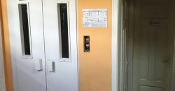 Proprietà commerciale con molto potenziale in Dianabad