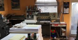 Proprietà commerciale con molto potenziale in Dianabad