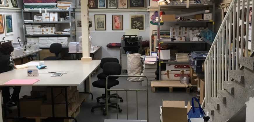 Proprietà commerciale con molto potenziale in Dianabad